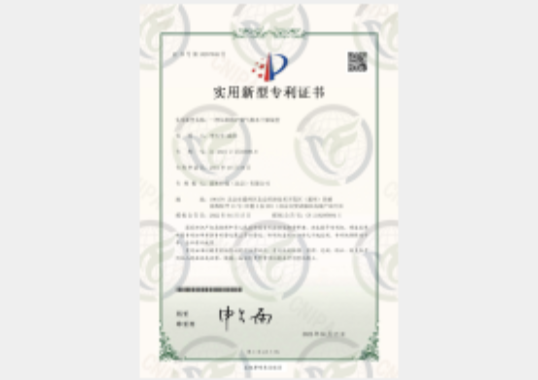 专利6