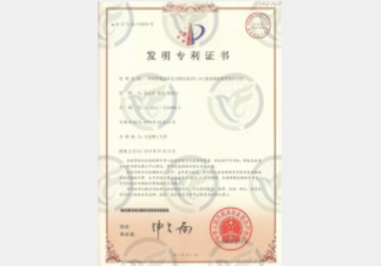 专利2